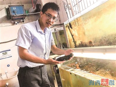 青年科技工作者實現(xiàn)海參南方全人工育苗生產(chǎn)