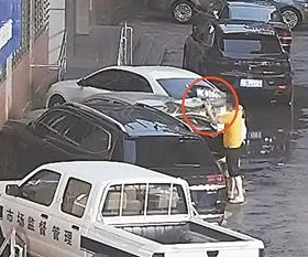 交警接到群眾警報 一男子當街更換車牌 