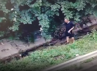 男子騎電動自行車上高速 竟然還翻越護欄抓鴨子！