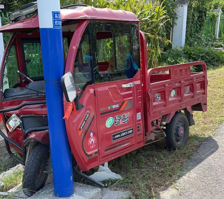 車內寵物干擾駕駛員注意力 三輪電動車撞上電線桿