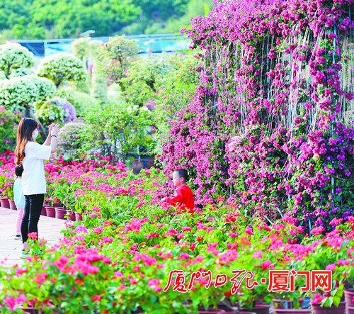 廈門秋韻正漸漸濃郁 走進(jìn)大自然去呼吸新鮮空氣吧