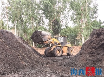 落葉枯枝成有機肥初料 變廢為寶滋養城市綠意
