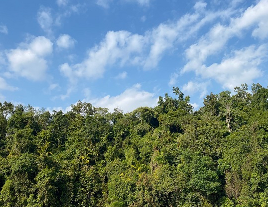 官畬景區(qū)批準(zhǔn)為4A級(jí)旅游景區(qū) 景區(qū)基礎(chǔ)設(shè)施更完善